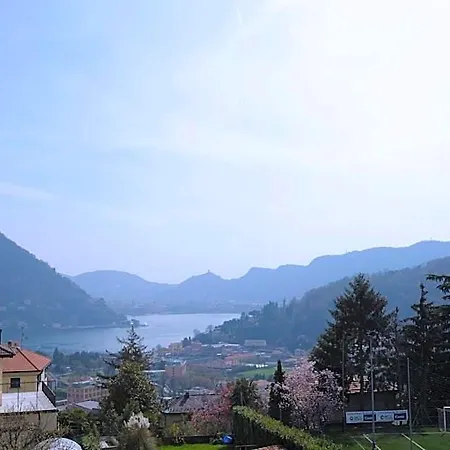 Della Torre